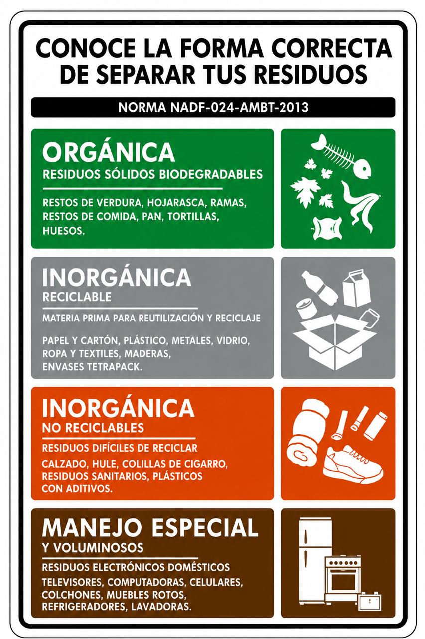 Conoce la forma correcta de separar tus residuos
